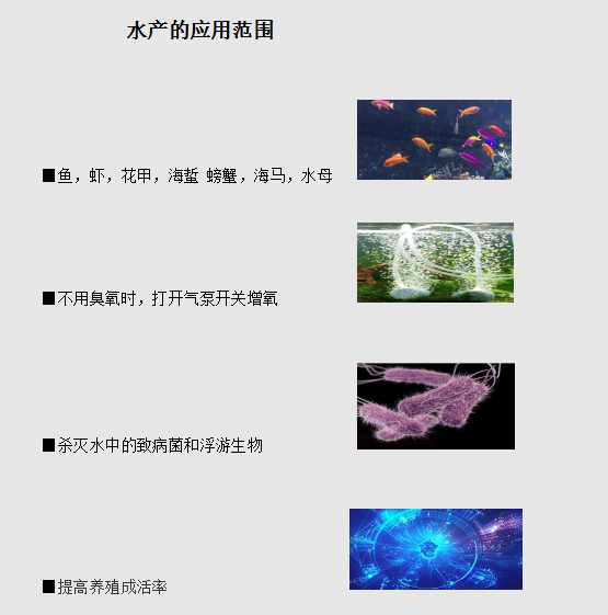 1611196586889232.png image.png