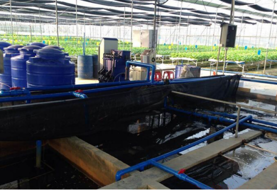 1614820072737892.png image.png